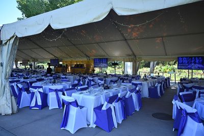 afrik-impact-gala-2024-030